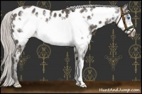 Horse Color:Silver Black Frame Appaloosa