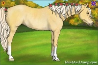 Horse Color:Palomino Rabicano 