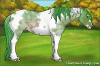 Horse Color:Watercolor Bay Roan Tobiano Frame 