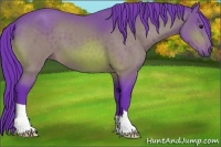 Horse Color:Watercolor Bay 