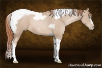 Horse Color:Smoky Black Pearl Splash Tobiano Frame