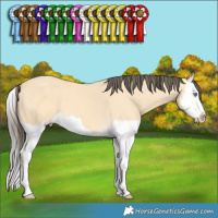 Horse Color:Amber Cream Champagne Splash