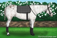 Horse Color:Brown Appaloosa  and Brown Appaloosa 