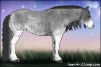 Horse Color:White Spotted Blue Roan 