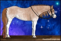 Horse Color:White Spotted Red Roan