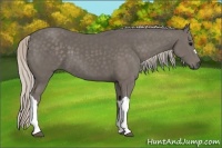 Horse Color:Silver Black 