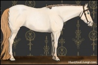 Horse Color:Buckskin Roan Pearl  and Buckskin Roan Pearl 