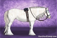 Horse Color:Perlino Sabino  and Perlino Sabino Splash