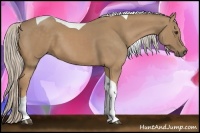 Horse Color:Palomino Tobiano 