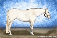 Horse Color:Buckskin Roan Pearl  and Amber Cream Champagne Roan Pearl 