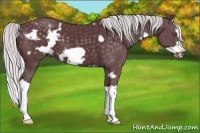 Horse Color:White Spotted Chocolate Silver Black Chinchilla Splash Frame 