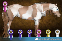 Horse Color:White Spotted Silver Sable Champagne Pearl Splash  and Liver Chestnut Pearl 