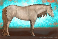 Horse Color:Liver Red Dun Pearl  and Liver Chestnut Pearl Splash 