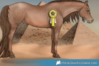 Horse Color:Brown Pearl  and Brown Pearl 