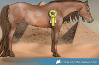Horse Color:Brown Pearl and Brown Pearl