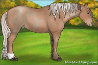 Horse Color:Black Pearl  and Silver Black Pearl 