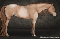 Horse Color:Brown Roan Pearl  and Brown Roan Pearl 