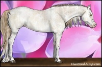Horse Color:White Spotted Liver Red Dun Ice Pearl  and White Spotted Liver Chestnut Ice Pearl Splash 