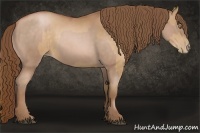 Horse Color:Bay Pearl  and Bay Pearl 