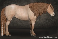 Horse Color:Bay Roan Pearl and Bay Roan Pearl Splash