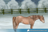 Horse Color:Liver Chestnut Pearl Mushroom  and Liver Chestnut Pearl 