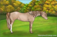 Horse Color:Liver Chestnut Pearl  and Liver Chestnut Pearl 