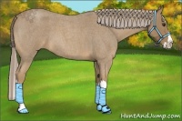 Horse Color:Palomino Roan Splash 