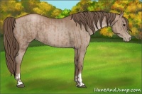Horse Color:Black Pearl  and Black Pearl 