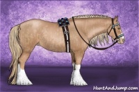 Horse Color:Liver Chestnut Pearl  and Liver Chestnut Pearl 