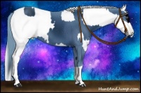 Horse Color:ERROR: UNKNOWN ANOMALY and Liver Chestnut Chinchilla Pearl