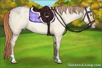 Horse Color:Buckskin Roan Pearl Dun
