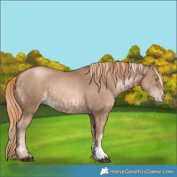 Horse Color:White Spotted Liver Chestnut Pearl Mushroom Tobiano and Liver Chestnut Pearl