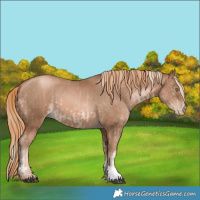 Horse Color:White Spotted Liver Chestnut Pearl Mushroom Tobiano  and Liver Chestnut Pearl 