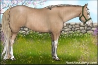 Horse Color:Liver Chestnut Pearl  and Liver Chestnut Pearl Splash 