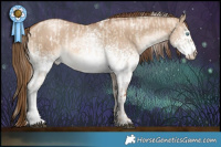 Horse Color:White Spotted Liver Red Dun Roan Pearl  and White Spotted Liver Red Dun Pearl 