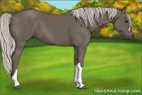 Horse Color:Silver Black 