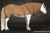 Horse Color:Chestnut Splash 