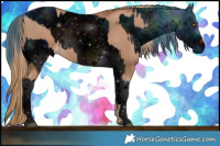 Horse Color:Liver Chestnut Pearl  and ERROR: UNKNOWN ANOMALY