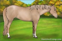 Horse Color:Liver Chestnut Pearl and Liver Chestnut Pearl