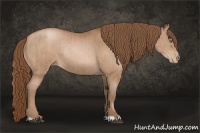 Horse Color:Bay Pearl and Bay Pearl Rabicano