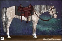 Horse Color:Gold Cream Champagne Pearl Appaloosa  and Classic Champagne Dun 