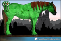 Horse Color:ERROR: UNKNOWN ANOMALY