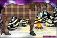 Horse Color:Painted Plaid  Bay 