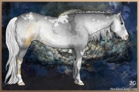 Horse Color:White Spotted Silver Blue Onyx Chinchilla Ice Frame Appaloosa Rabicano 