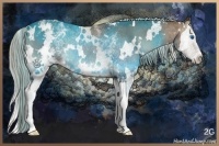 Horse Color:White Spotted Silver Smoky Blue Onyx Splash Rabicano
