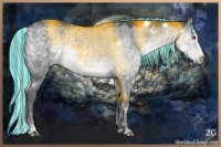 Horse Color:Painted White Spotted Silver Smoky Grullo Chinchilla Sabino Rabicano
