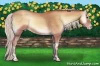 Horse Color:Silver Classic Champagne Onyx 