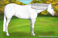 Horse Color:Gray Silver Amber Cream Champagne Roan Dun Splash Tobiano Frame Appaloosa Rabicano 