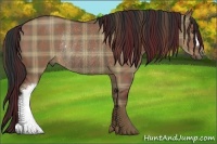 Horse Color:Plaid  Liver Red Dun Rabicano 