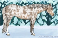Horse Color:Silver Smoky Black Ice